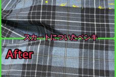 スカートについたペンキしみ抜き